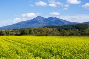 夏の斜里岳