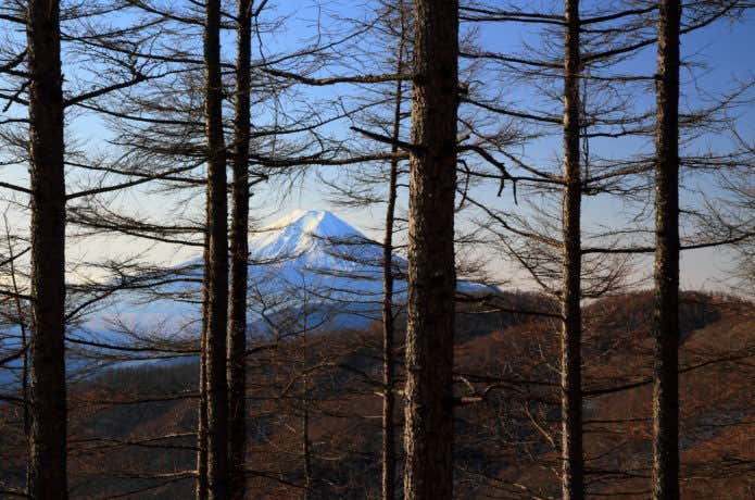雁ヶ腹摺山から見た富士山