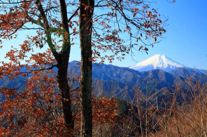 中央線梁川駅から行ける倉岳山の紅葉