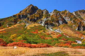 長野県千畳敷カールの紅葉