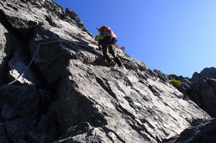 カニのヨコバイ