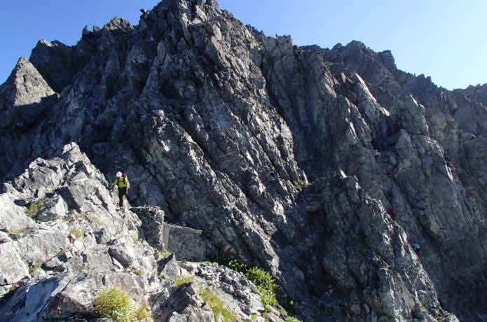 カニのタテバイ