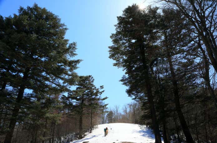雪の滝子山