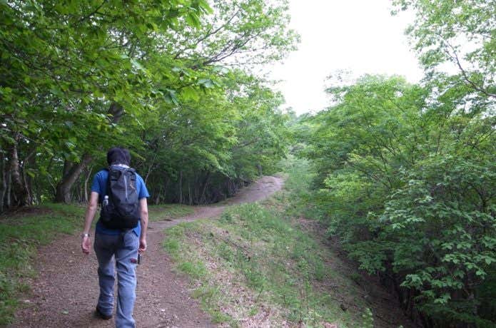 川苔山に登る人