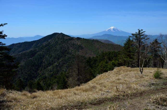 秀麗富嶽十二景の牛奥ノ雁ヶ腹摺山から見た富士山