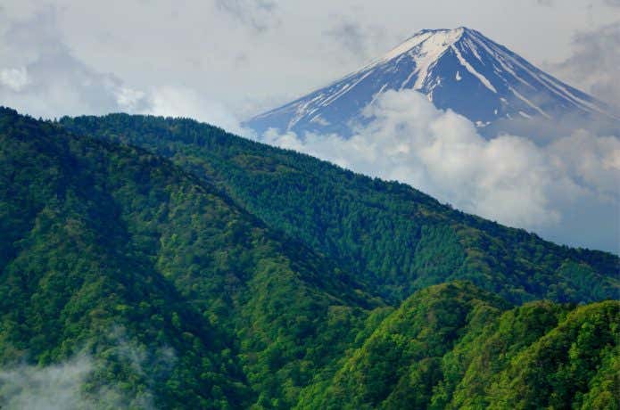 秀麗富嶽十二景の本社ヶ丸から見る富士山