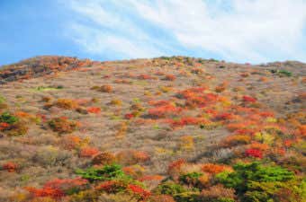 九州の山　紅葉