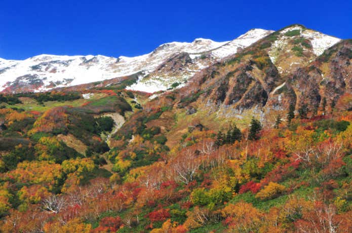 長野県の栂池高原の紅葉