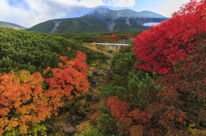 乗鞍岳の紅葉