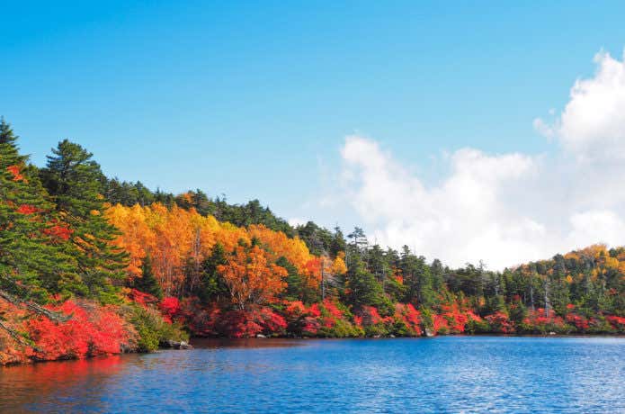 八ヶ岳の紅葉｜ハイキング＆登山で秋を感じる！おすすめスポット