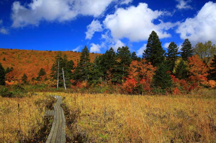 八幡平の紅葉