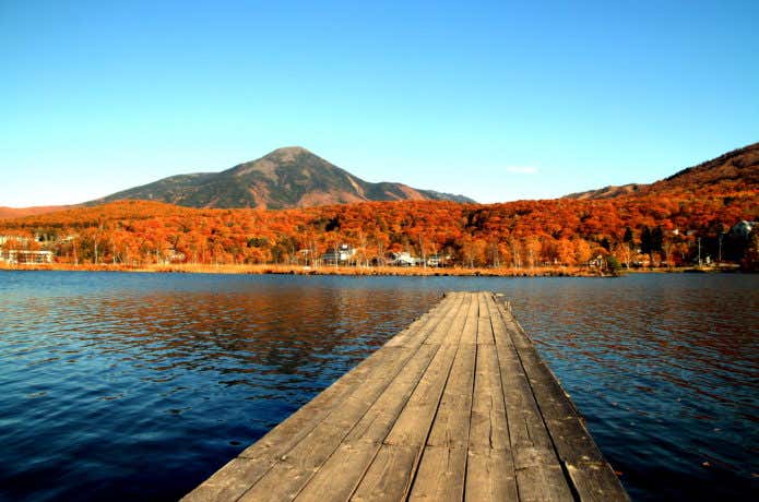 長野県の白樺高原の紅葉