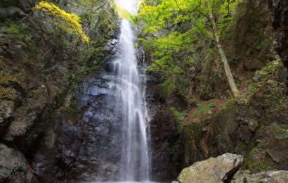 川苔山で見られる百尋ノ滝
