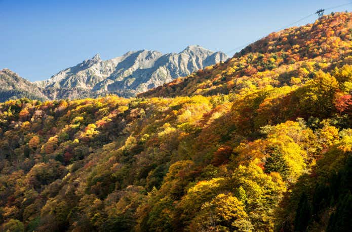 新穂高温泉
