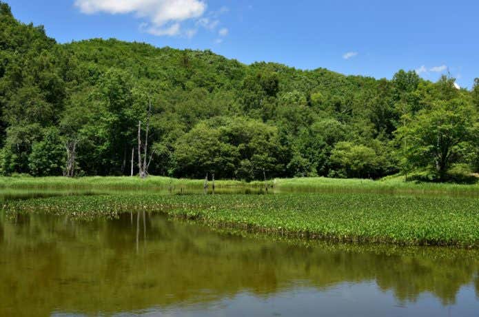 一の瀬園地の画像