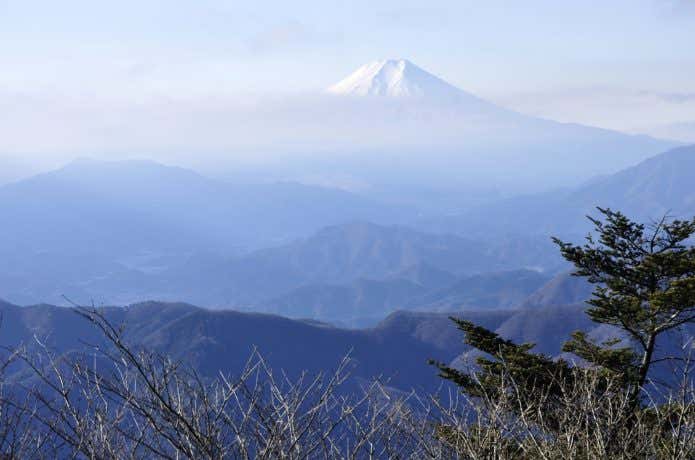 三頭山からの富士山