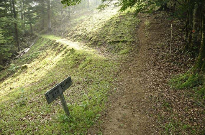 滝子山登山道