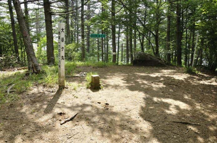 大谷ヶ丸山頂の画像