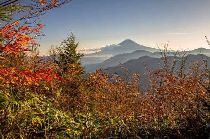 紅葉の雁ヶ腹摺山