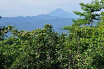 生藤山よりより望む富士山