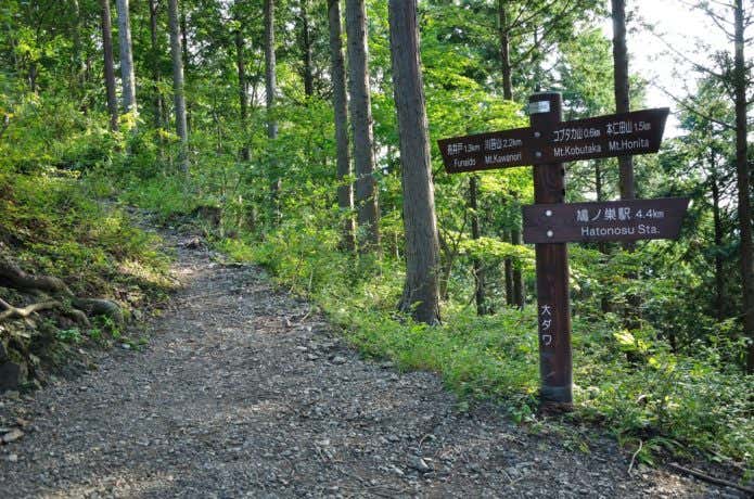 川苔山までのコース途中の大ダワ