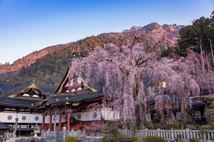 身延山