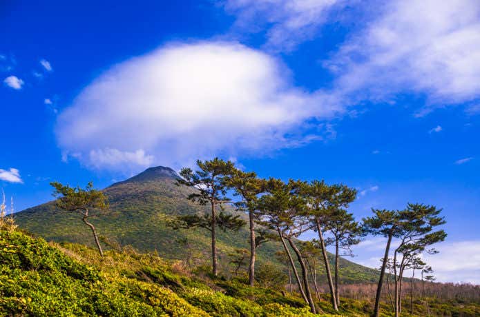 開聞岳を山麓から