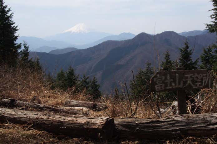 秀麗富嶽十二景の奈良倉山から見る富士山