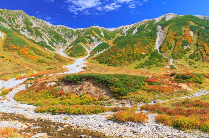 立山の紅葉