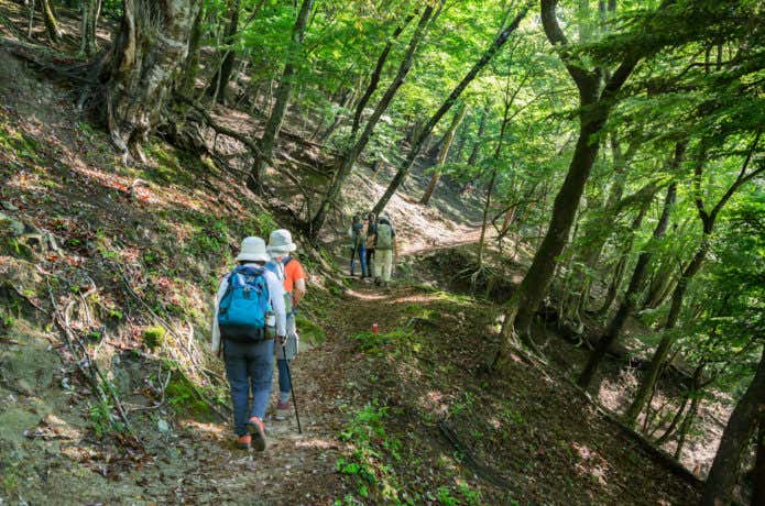 登山中の人