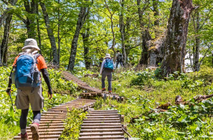 木道を行く登山者