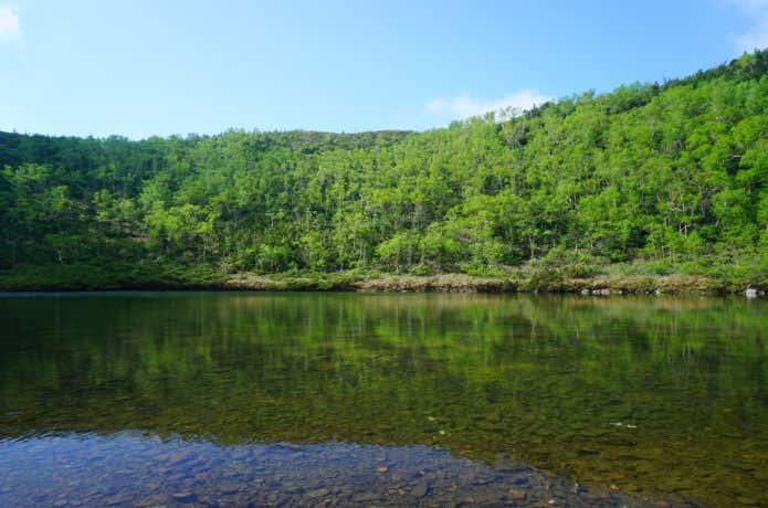 鏡池