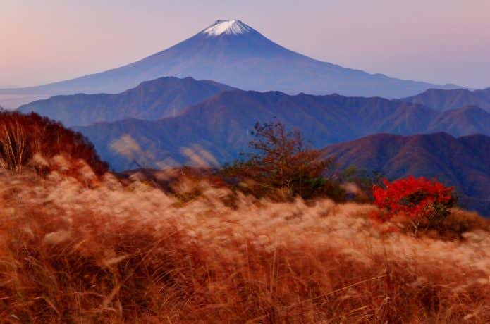 秀麗富嶽十二景の大蔵高丸から見た富士山