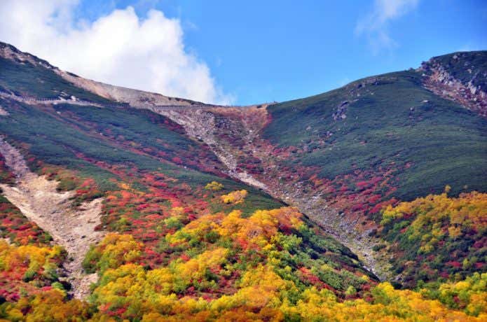 紅葉の乗鞍岳
