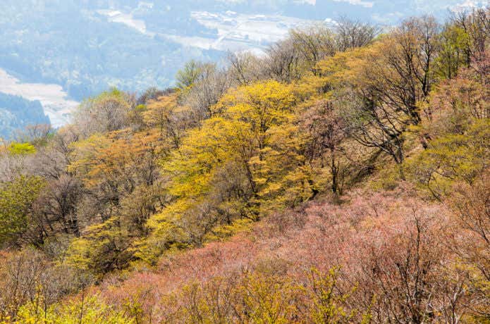 蛇谷ヶ峰