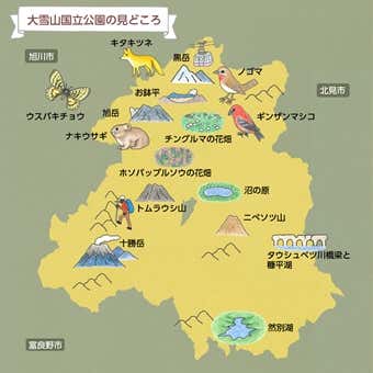 大雪山国立公園 見どころマップ