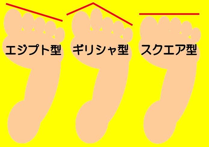3種類の足の形の図