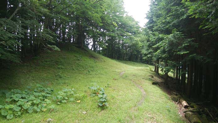 川苔山～日向沢ノ峰へのコース