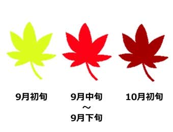 黒岳紅葉見頃