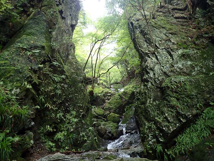 棒ノ折山登山コース中の沢
