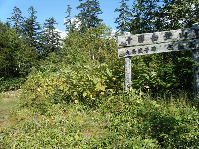 吹上温泉登山口