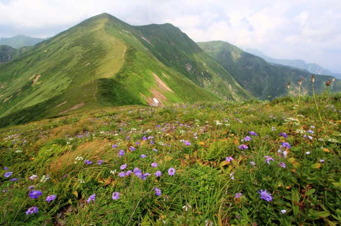 寒江山
