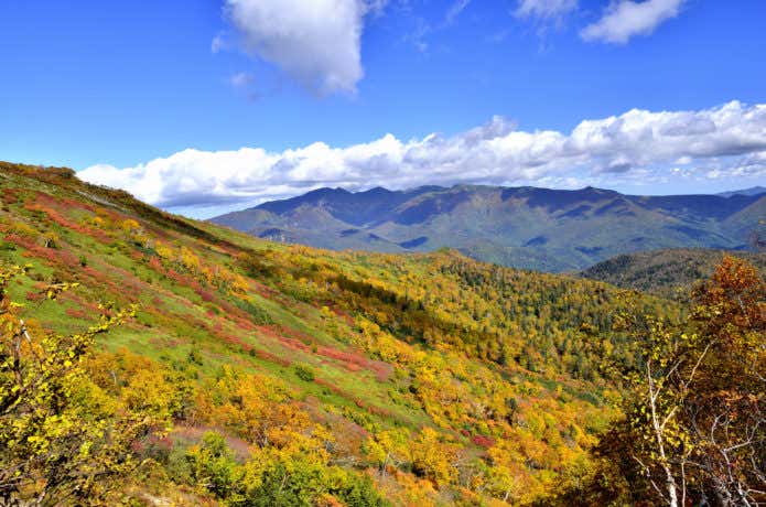 大雪山 銀泉台 紅葉