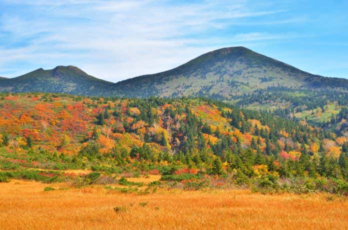 八甲田山の紅葉