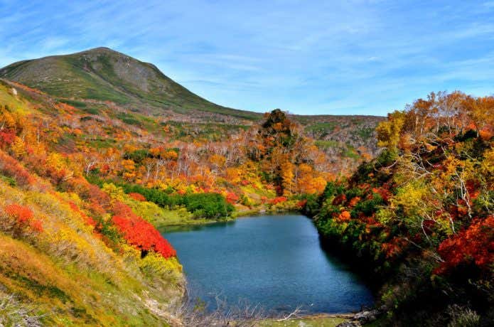 大雪山の紅葉