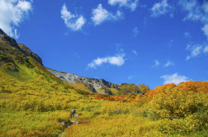 高原沼の紅葉