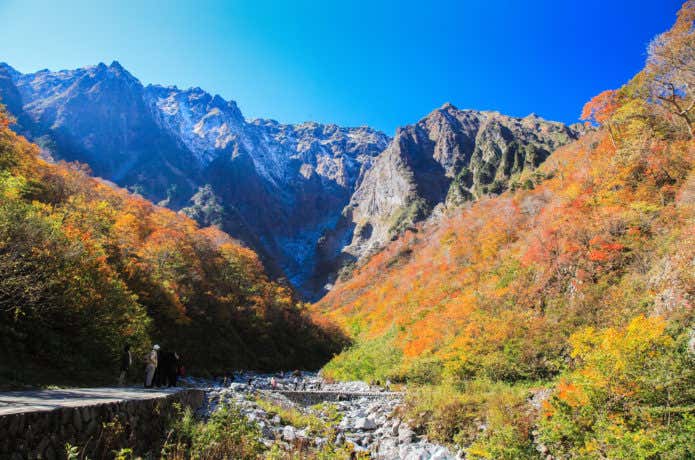 谷川岳の紅葉