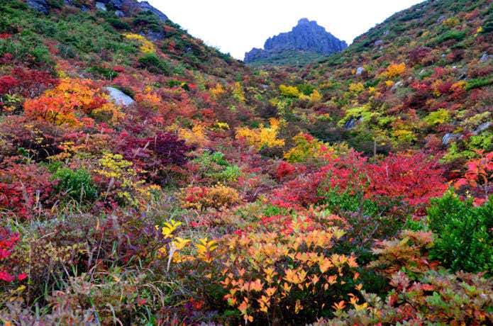 安達太良山の紅葉