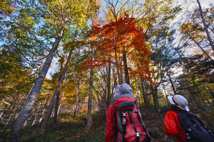 皇海山登山をしている人々