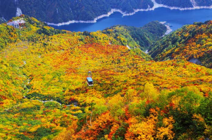 大観峰からの紅葉景色